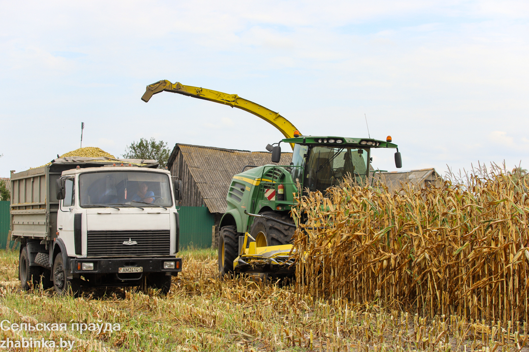 Аграриям не рекомендуют убирать урожай кукурузы зимой